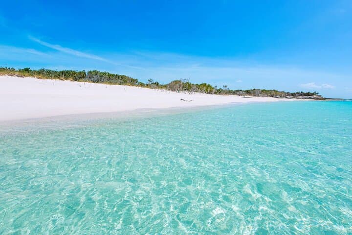 Iguana Island & Mangrove Cay Tour — Little Water Cay Rock Iguanas and Coastal Wildlife in Providenciales photo 6