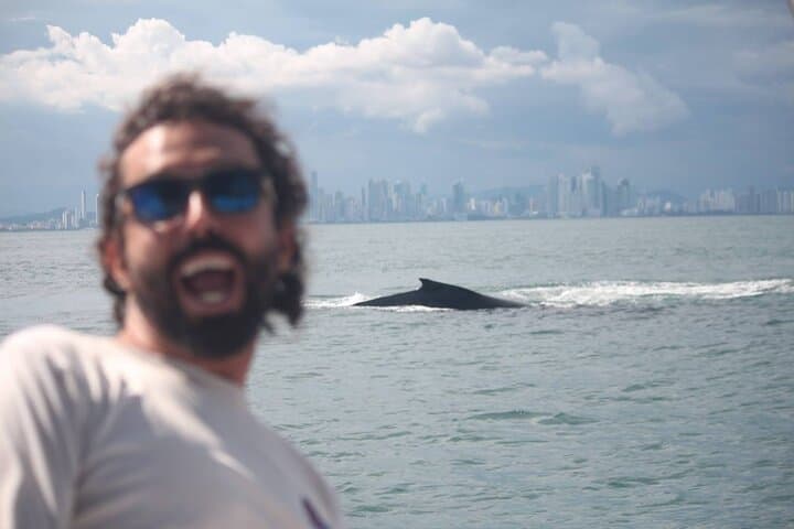 Private Whale Watching in the Pearl Islands on a 46ft Viking Yacht photo 2