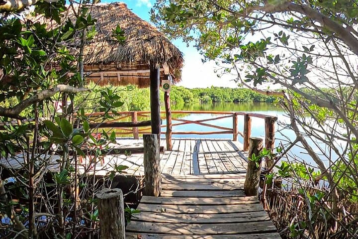 Full-Day Isla Contoy Sailing Nature Experience from Cancun to Isla Mujeres photo 2