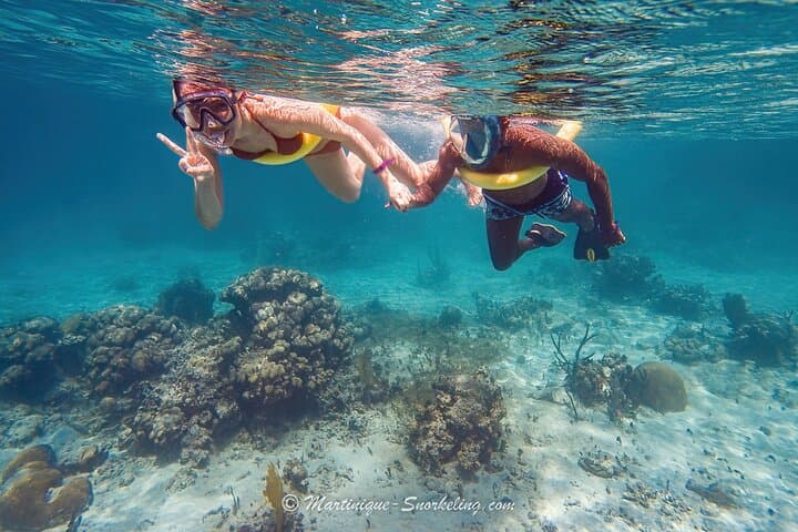 Snorkel the Southern Martinique Coral Gardens: Small-Group Boat Trip photo 3