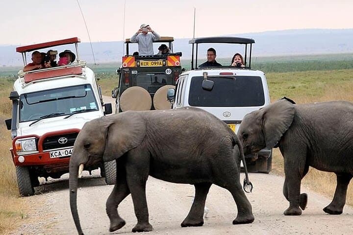 Private Amboseli Overnight Tour: Elephants and Kilimanjaro Views