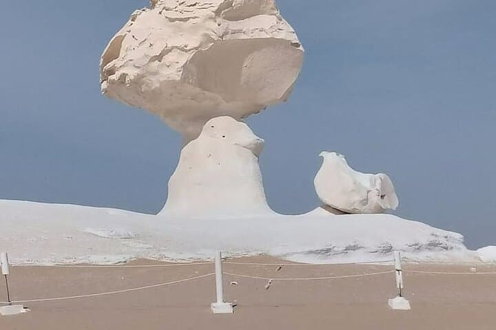 Black and White Desert Day Trip from Cairo — Bahariya Oasis & White Desert Highlights photo 4