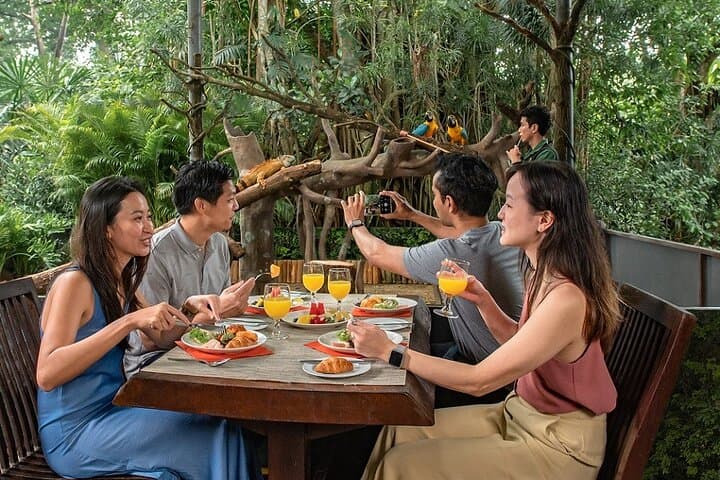 Singapore Zoo Morning: Jungle Breakfast with Orangutans & One-Way Transfer