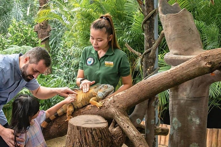 Singapore Zoo Morning: Jungle Breakfast with Orangutans & One-Way Transfer photo 2