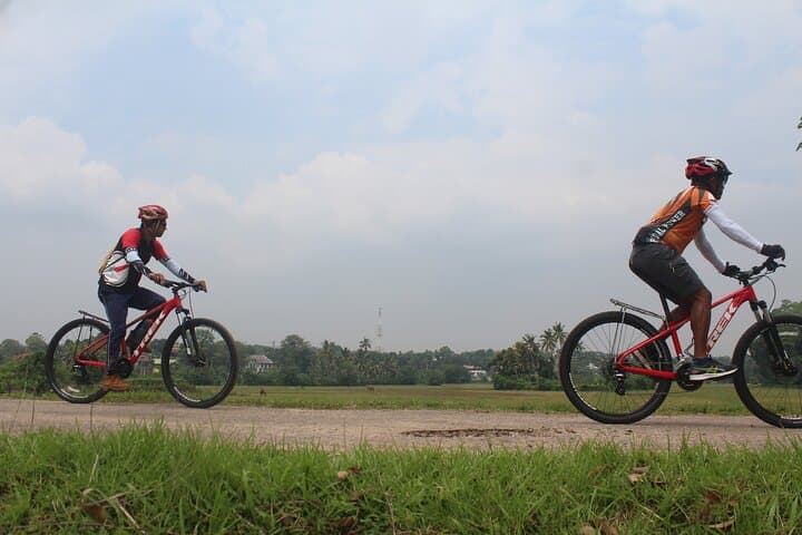 Suburban Cycle Loop: Wetlands, Temples & Parliament Lake near Colombo photo 2