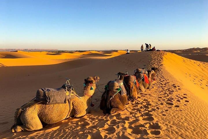 2-Day Sahara Desert Trip from Fes to Merzouga and Marrakech photo 2