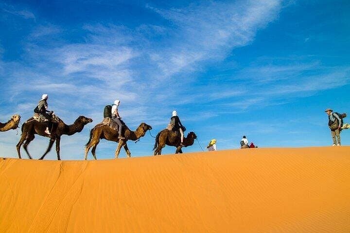 2-Day Sahara Desert Trip from Fes to Merzouga and Marrakech photo 3