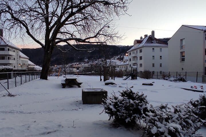 Exploring Bergen: Private Half-Day Walking Tour with Mount Floyen Funicular and Traditional Dinner photo 4