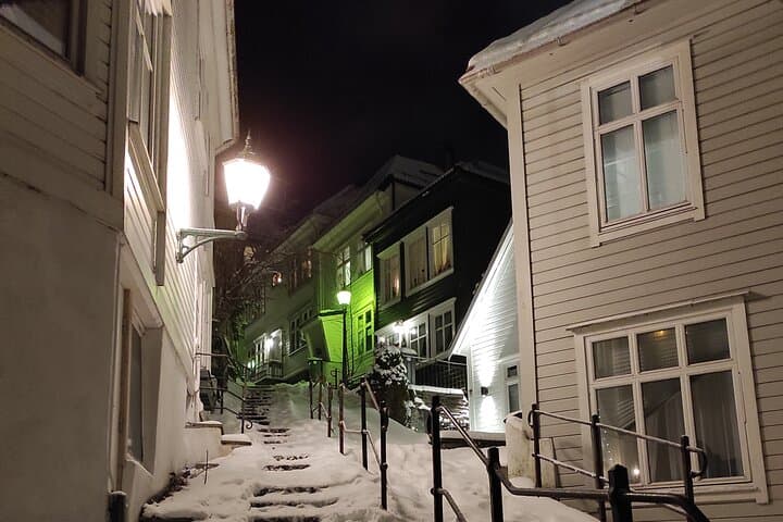 Exploring Bergen: Private Half-Day Walking Tour with Mount Floyen Funicular and Traditional Dinner photo 3