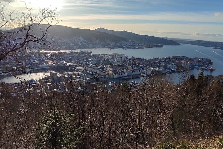 Exploring Bergen: Private Half-Day Walking Tour with Mount Floyen Funicular and Traditional Dinner photo 5