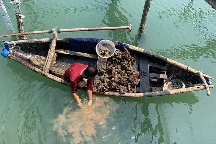 Lang Co Oyster Tour — Hai Van Pass, Lagoon Fishing & Fresh Oyster Tasting photo 1