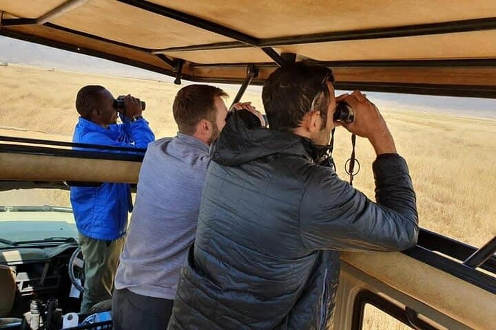 6-Day Luxury Lodge Safari to Lake Manyara, Serengeti, Ngorongoro & Tarangire, Tanzania photo 2