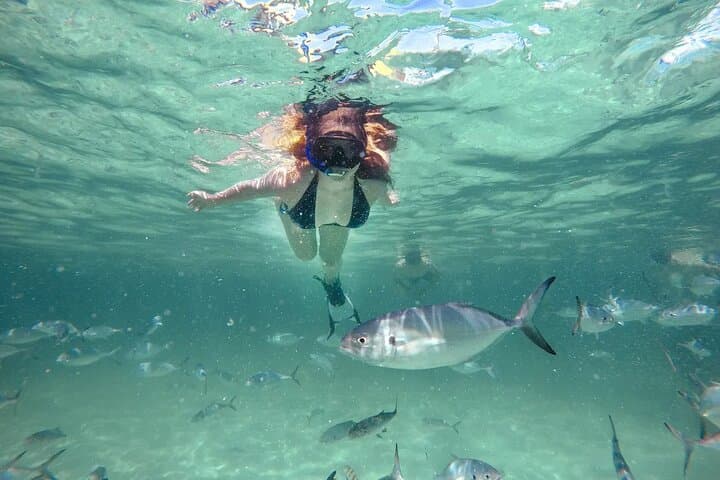 Reef Explorer Half-Day Trip: Snorkel with Stingrays & Kayak Bávaro Beach