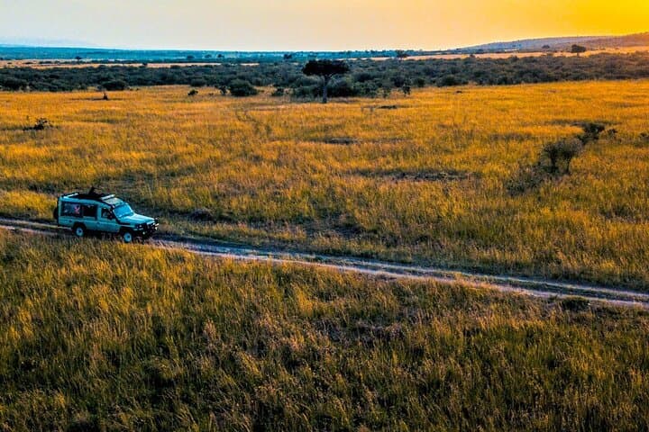 3-Day Maasai Mara Safari: Big Five Game Drives & Rift Valley Views photo 6