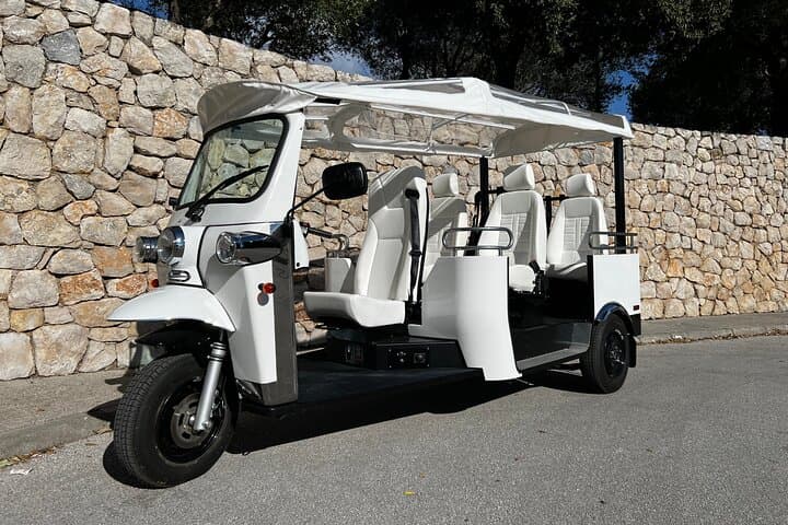 E-Tuk Tour in Mljet National Park — Lakes, Roman Ruins & St. Mary Island photo 5