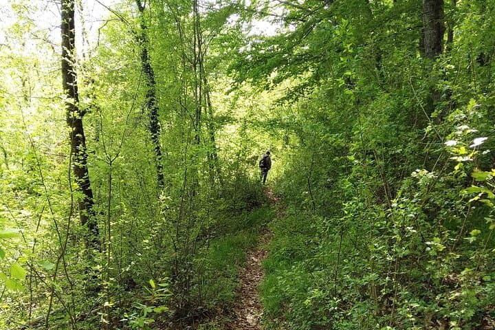 Thessaloniki to Naoussa: Wine Tasting, Waterfalls & Village Walks (Private Day Trip) photo 4