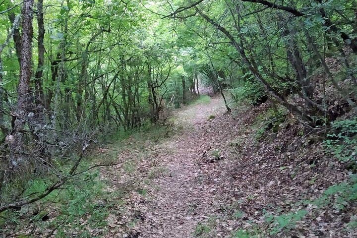 Thessaloniki to Naoussa: Wine Tasting, Waterfalls & Village Walks (Private Day Trip) photo 5