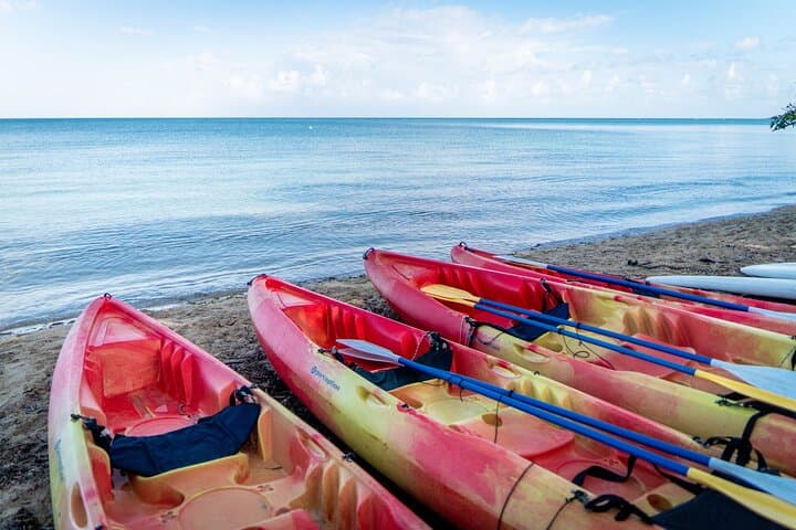 Full-Day Kayak Adventure in Fajardo's Cabezas de San Juan photo 2