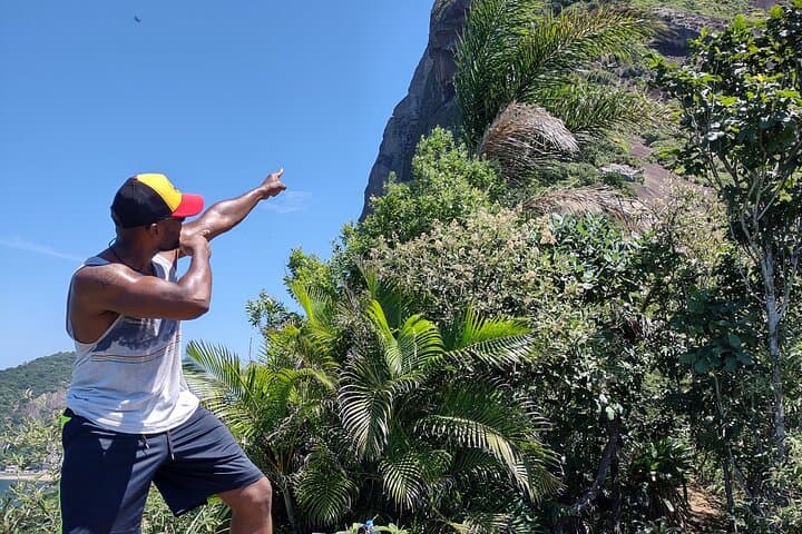 Sugarloaf Mountain Hiking and Climbing — Guided Ascent with Cable Car Descent in Rio photo 3