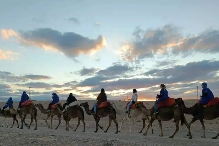 Sunset Camel Ride & Dinner Show in Agafay Desert — Half-Day from Marrakech