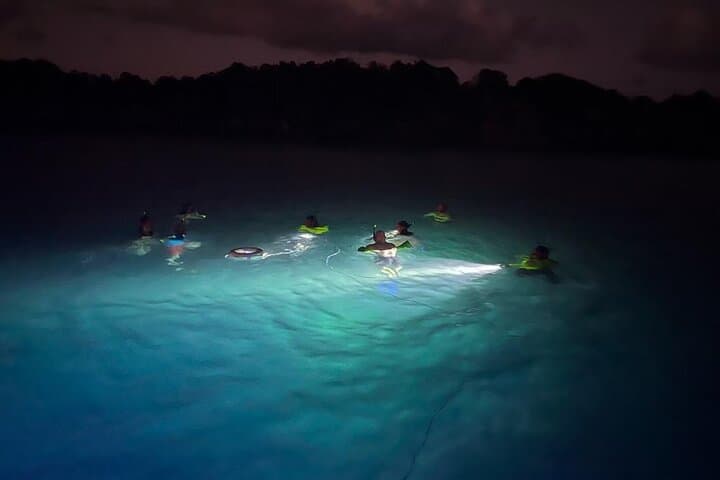 Night Snorkel Adventure off Fajardo: Boat Tour with Drinks & Appetizers photo 3