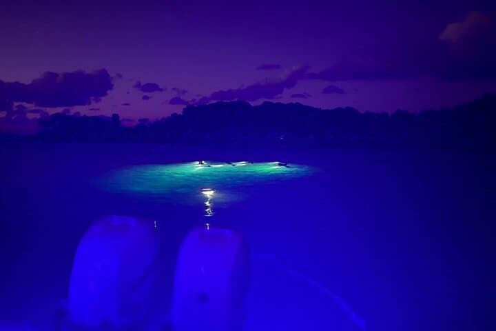 Night Snorkel Adventure off Fajardo: Boat Tour with Drinks & Appetizers photo 4