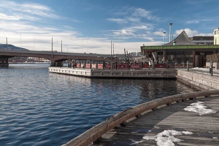 Private Transfer from Geilo to Oslo with a 2-Hour Stop in Drammen photo 4