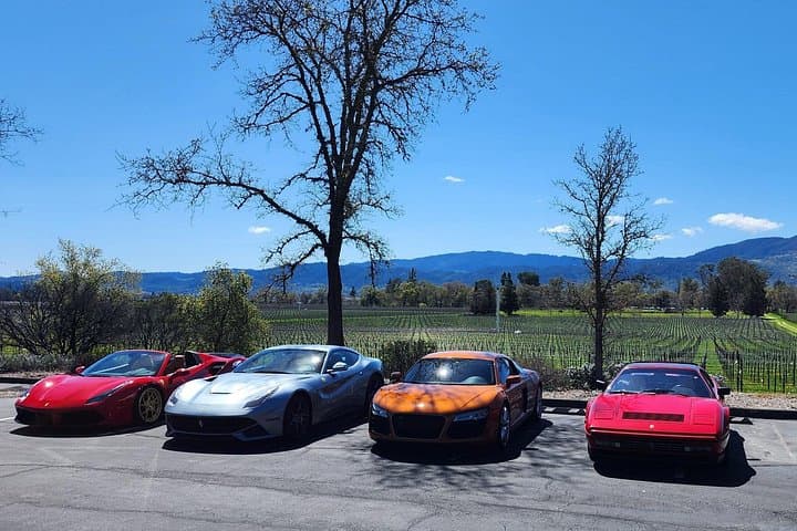 Half-Day Champagne Tour from San Francisco to Sonoma & Napa photo 4