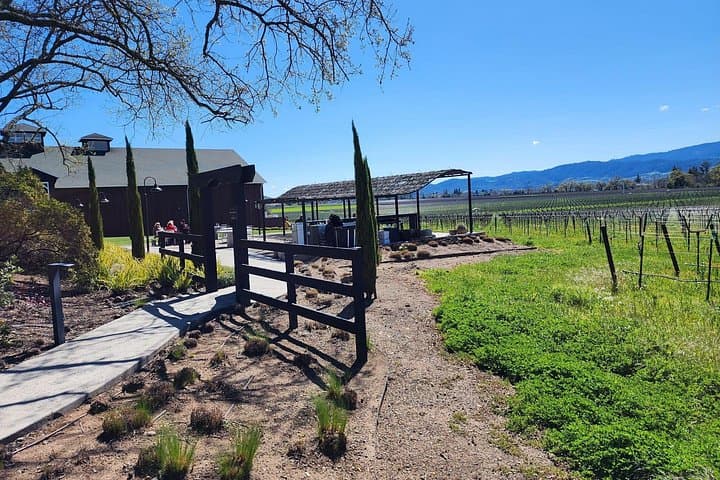 Half-Day Champagne Tour from San Francisco to Sonoma & Napa photo 6