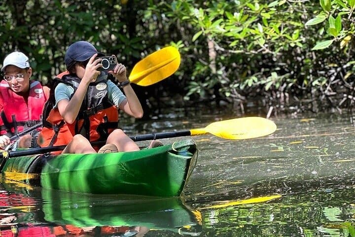 Kayaking Kilim Mangrove Geoforest: Langkawi Mangrove & Bat Cave Kayak Tour photo 3