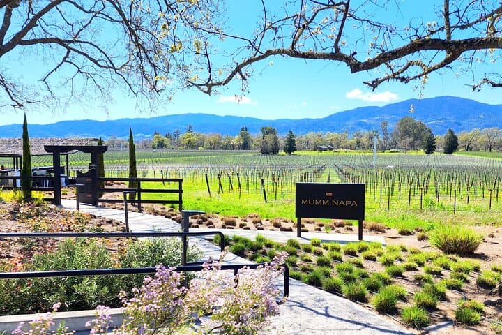 Half-Day Champagne Tour from San Francisco to Sonoma & Napa