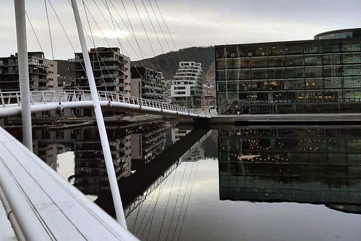 Private Oslo to Drammen Transfer with 2-Hour Stop at Henie Onstad Art Center photo 2