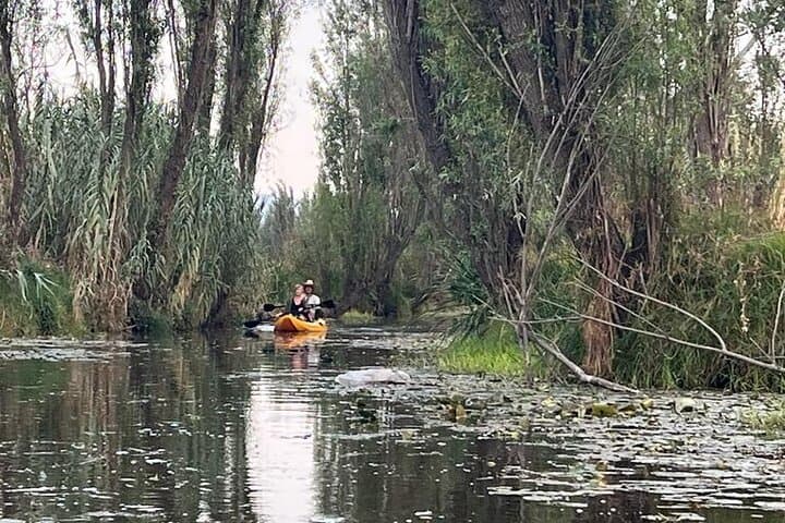 Kayak the Ancient Canals of Xochimilco: 3-Hour Chinampa Paddle photo 1