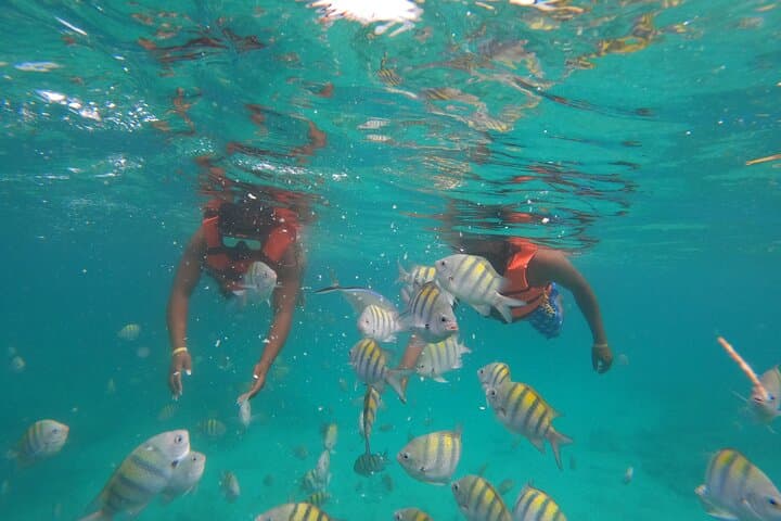 Drive a Speedboat & Snorkel Bávaro Reef — Punta Cana Adventure photo 6