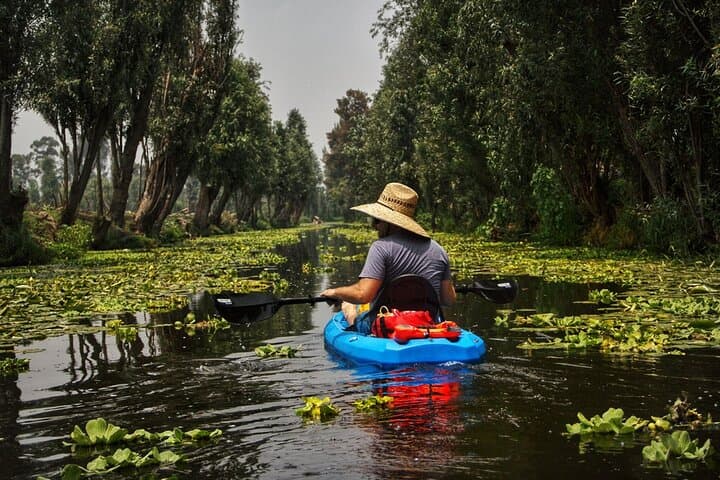 Kayak the Ancient Canals of Xochimilco: 3-Hour Chinampa Paddle photo 4
