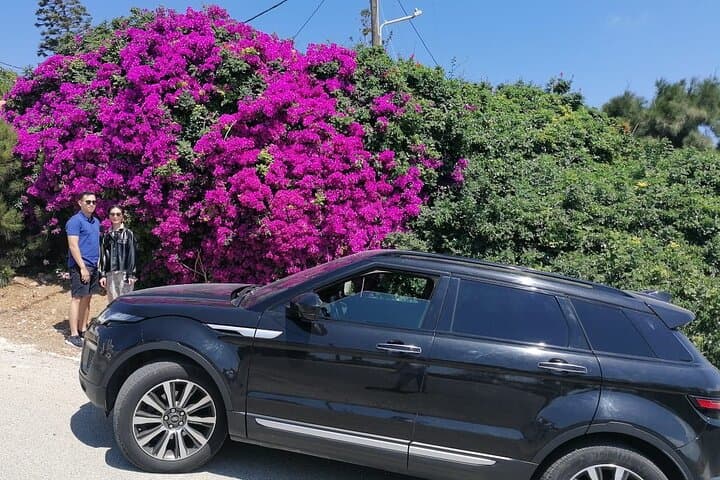 Private Mykonos Escape: Secluded Northern Beaches & Ancient Ftelia photo 4