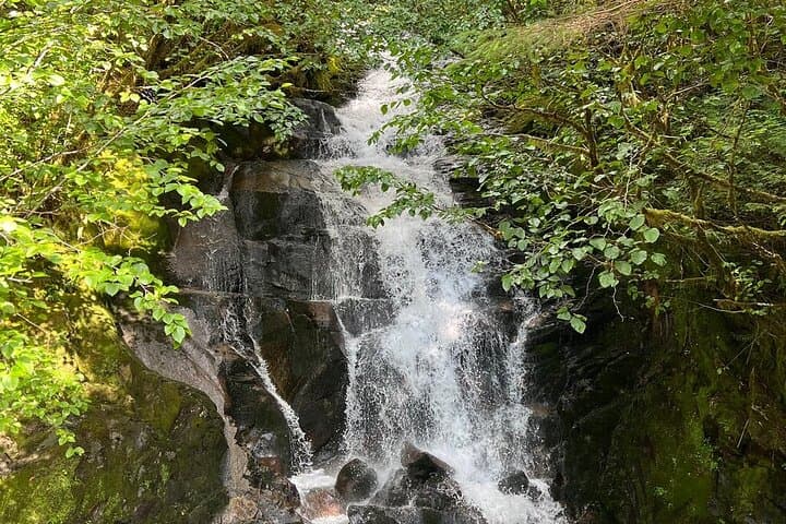 Exploring Ketchikan: Private Totem Parks and Alaskan Wildlife Highlights