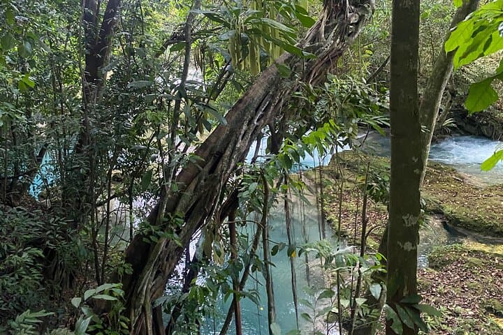 Montego Bay Blue Hole Horseback Riding & River-Climb Adventure photo 2
