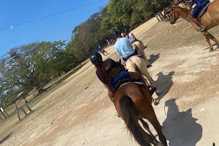 Montego Bay Blue Hole Horseback Riding & River-Climb Adventure photo 3
