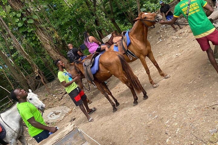 Montego Bay Blue Hole Horseback Riding & River-Climb Adventure photo 4