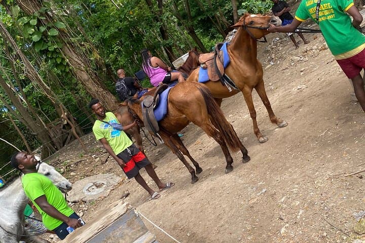 Montego Bay Blue Hole Horseback Riding & River-Climb Adventure photo 5
