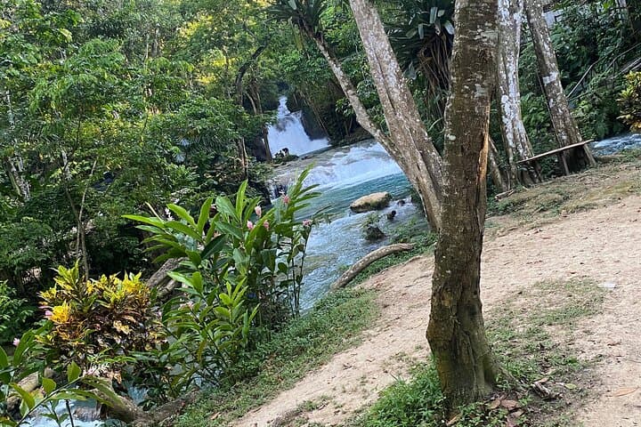 Montego Bay Blue Hole Horseback Riding & River-Climb Adventure photo 6