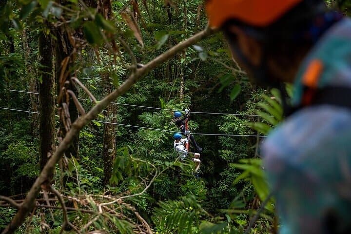 Ziplining Cape Tribulation: Treetops Adventures Rainforest Canopy Tour photo 2