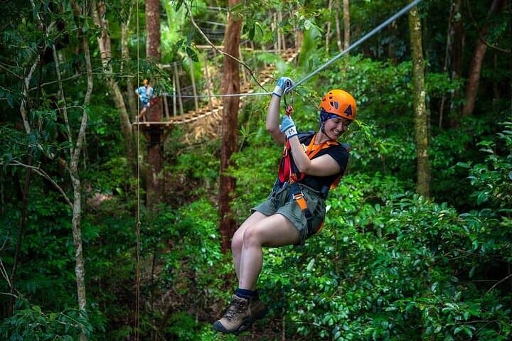 Ziplining Cape Tribulation: Treetops Adventures Rainforest Canopy Tour