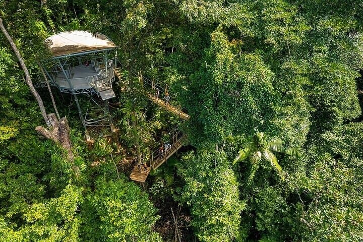 Ziplining Cape Tribulation: Treetops Adventures Rainforest Canopy Tour photo 4