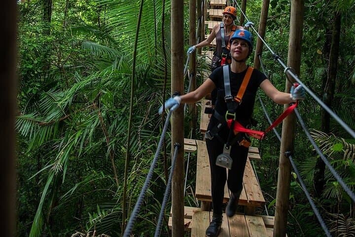 Ziplining Cape Tribulation: Treetops Adventures Rainforest Canopy Tour photo 6
