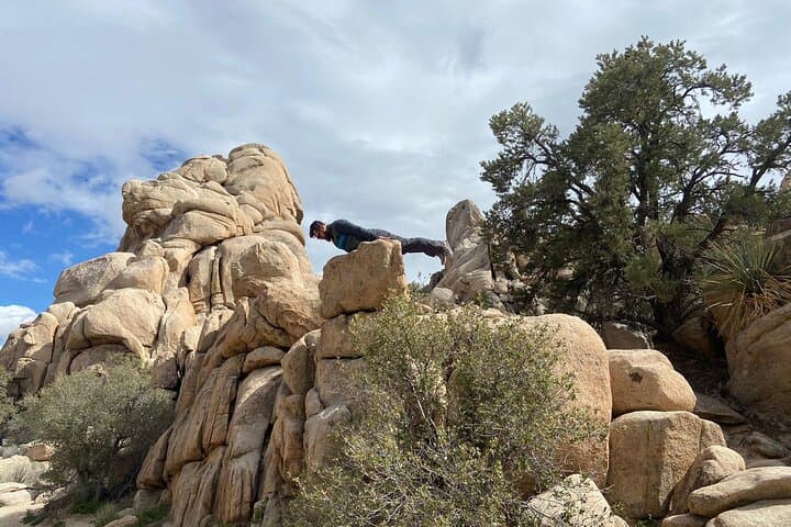 Hidden Valley Joshua Tree Creative Scavenger Hunt — Remote Host photo 2