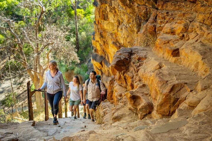 Morialta Wilderness & Wildlife Hike: Half-Day Guided Walk from Adelaide photo 3