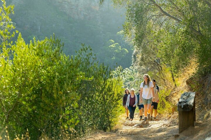 Morialta Wilderness & Wildlife Hike: Half-Day Guided Walk from Adelaide