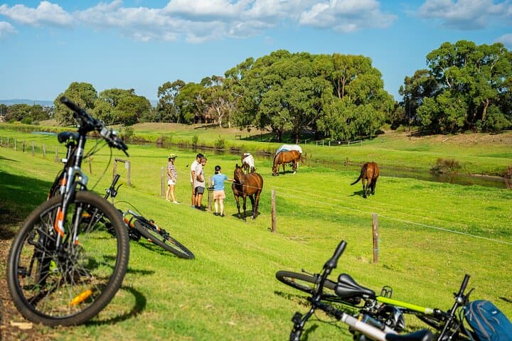 Adelaide City to Sea Bike Tour: Ride the River Torrens to Glenelg photo 5